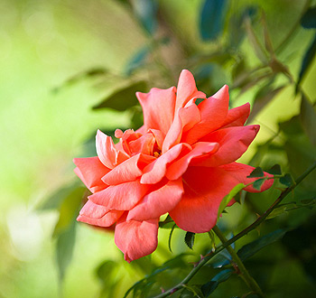 哪里最划算的ddos在线压力测试平台