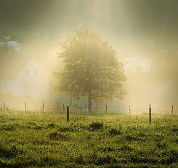 专业代充的免费ddos平台攻击
